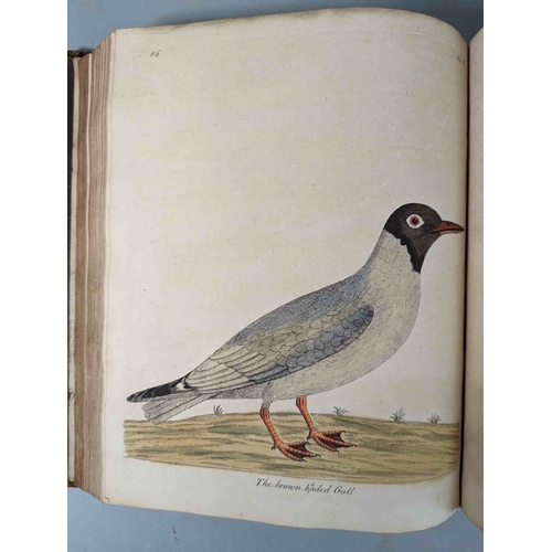 266 - ALBIN, Eleazar. A Natural History of Birds, to which are added, Notes and Observations by W. Derham,... 