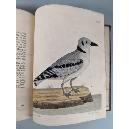 266 - ALBIN, Eleazar. A Natural History of Birds, to which are added, Notes and Observations by W. Derham,... 