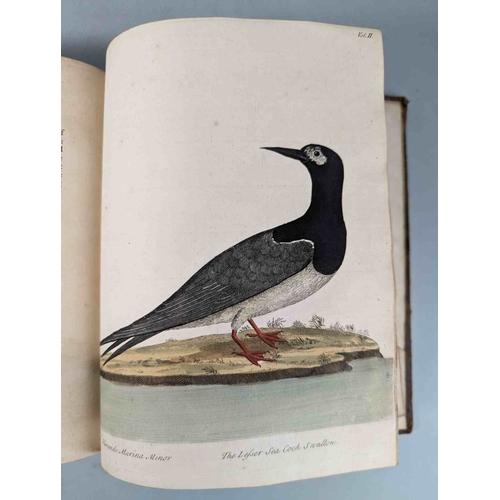 266 - ALBIN, Eleazar. A Natural History of Birds, to which are added, Notes and Observations by W. Derham,... 