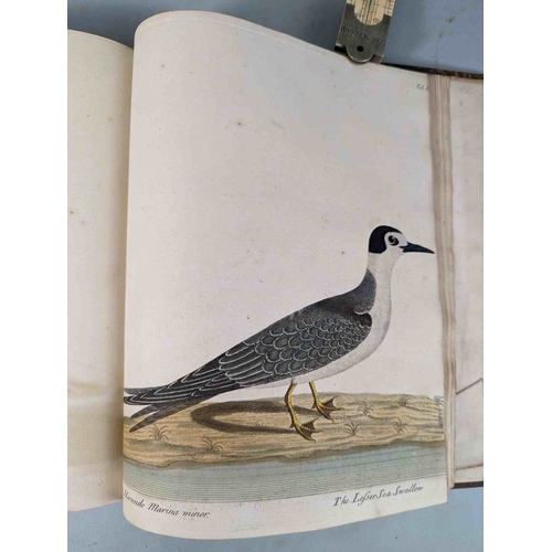 266 - ALBIN, Eleazar. A Natural History of Birds, to which are added, Notes and Observations by W. Derham,... 