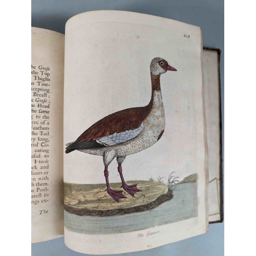 266 - ALBIN, Eleazar. A Natural History of Birds, to which are added, Notes and Observations by W. Derham,... 