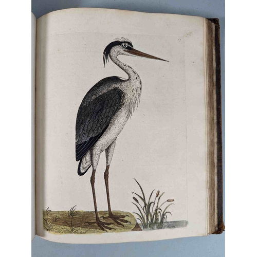 266 - ALBIN, Eleazar. A Natural History of Birds, to which are added, Notes and Observations by W. Derham,... 