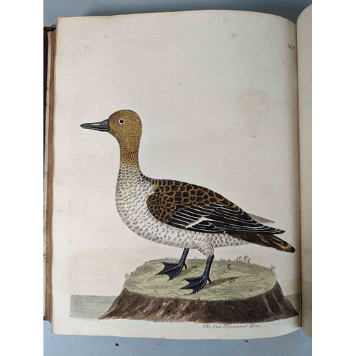 266 - ALBIN, Eleazar. A Natural History of Birds, to which are added, Notes and Observations by W. Derham,... 