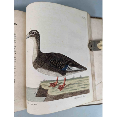 266 - ALBIN, Eleazar. A Natural History of Birds, to which are added, Notes and Observations by W. Derham,... 