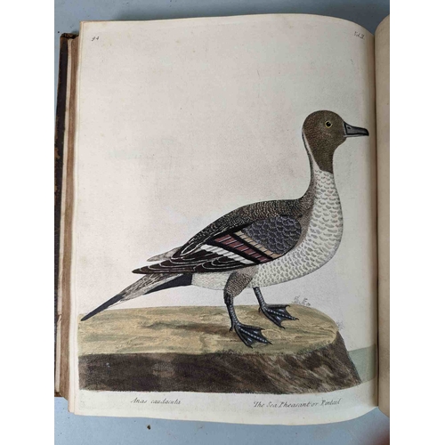 266 - ALBIN, Eleazar. A Natural History of Birds, to which are added, Notes and Observations by W. Derham,... 