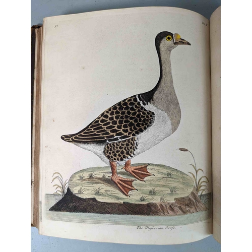 266 - ALBIN, Eleazar. A Natural History of Birds, to which are added, Notes and Observations by W. Derham,... 