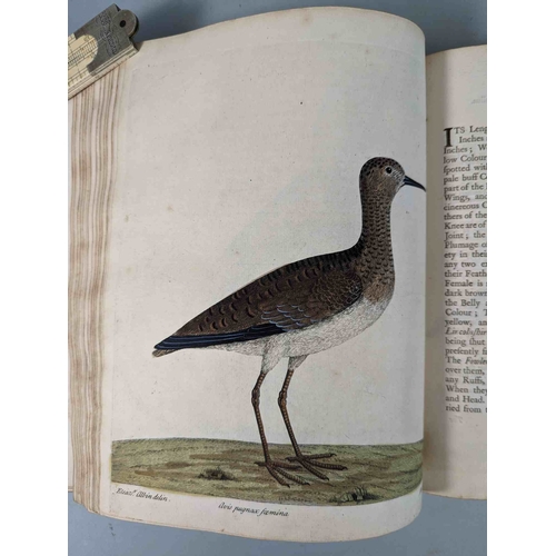 266 - ALBIN, Eleazar. A Natural History of Birds, to which are added, Notes and Observations by W. Derham,... 