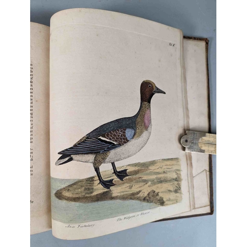 266 - ALBIN, Eleazar. A Natural History of Birds, to which are added, Notes and Observations by W. Derham,... 