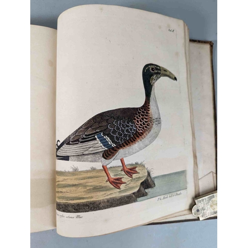 266 - ALBIN, Eleazar. A Natural History of Birds, to which are added, Notes and Observations by W. Derham,... 