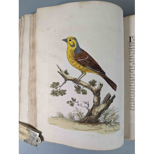 266 - ALBIN, Eleazar. A Natural History of Birds, to which are added, Notes and Observations by W. Derham,... 