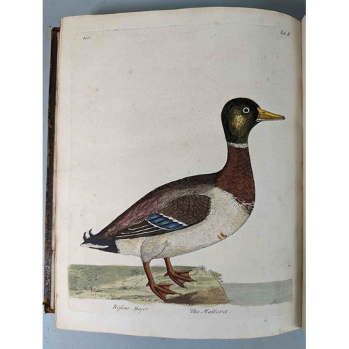 266 - ALBIN, Eleazar. A Natural History of Birds, to which are added, Notes and Observations by W. Derham,... 