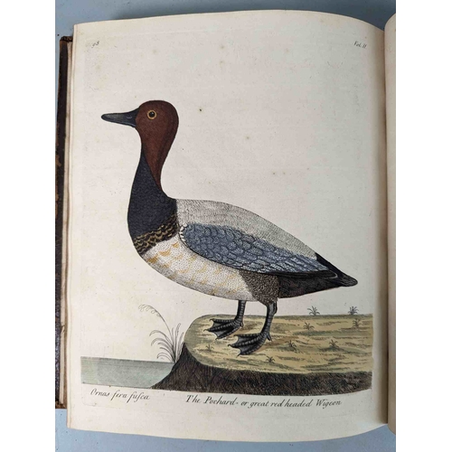 266 - ALBIN, Eleazar. A Natural History of Birds, to which are added, Notes and Observations by W. Derham,... 