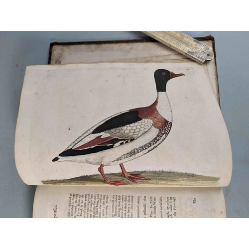 266 - ALBIN, Eleazar. A Natural History of Birds, to which are added, Notes and Observations by W. Derham,... 