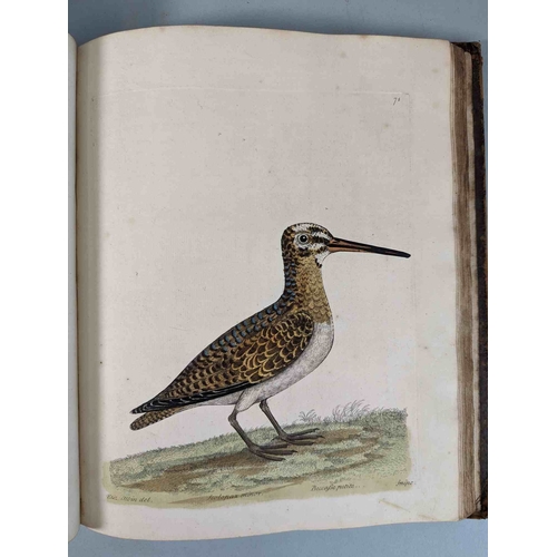 266 - ALBIN, Eleazar. A Natural History of Birds, to which are added, Notes and Observations by W. Derham,... 