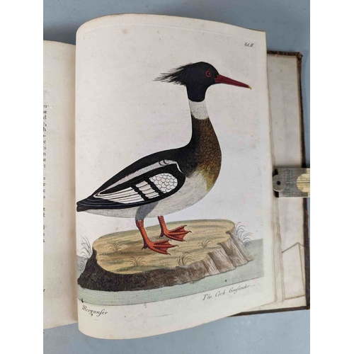 266 - ALBIN, Eleazar. A Natural History of Birds, to which are added, Notes and Observations by W. Derham,... 