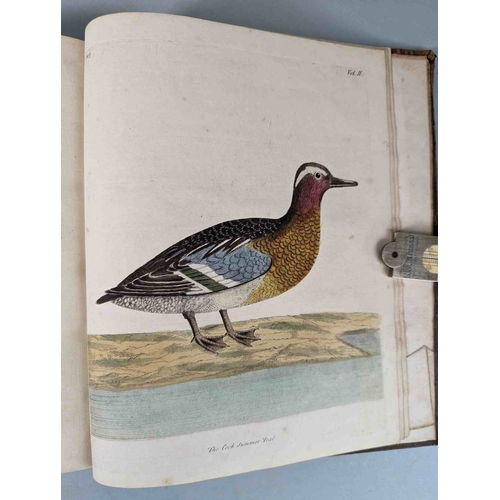 266 - ALBIN, Eleazar. A Natural History of Birds, to which are added, Notes and Observations by W. Derham,... 