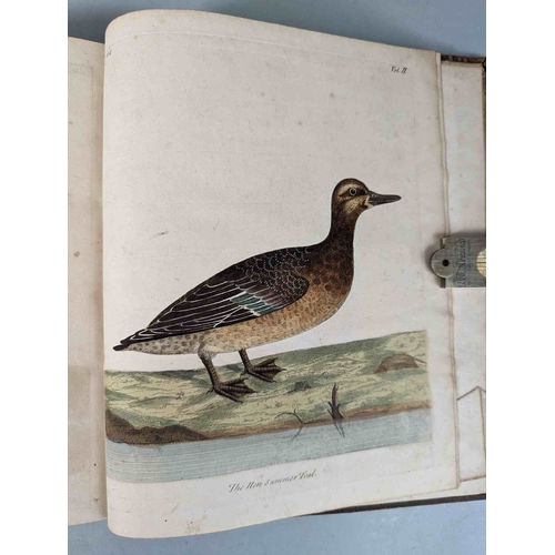 266 - ALBIN, Eleazar. A Natural History of Birds, to which are added, Notes and Observations by W. Derham,... 