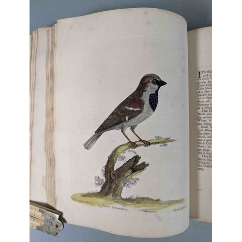 266 - ALBIN, Eleazar. A Natural History of Birds, to which are added, Notes and Observations by W. Derham,... 