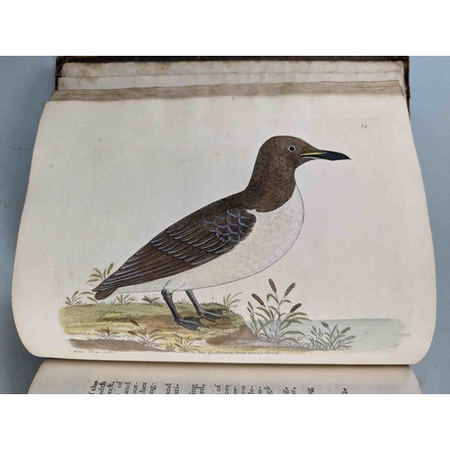 266 - ALBIN, Eleazar. A Natural History of Birds, to which are added, Notes and Observations by W. Derham,... 