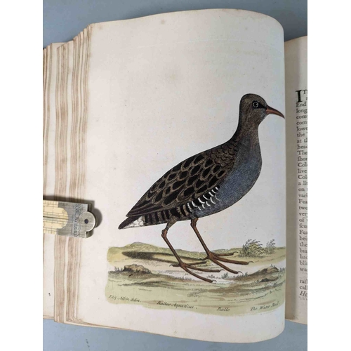 266 - ALBIN, Eleazar. A Natural History of Birds, to which are added, Notes and Observations by W. Derham,... 