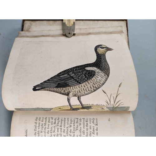 266 - ALBIN, Eleazar. A Natural History of Birds, to which are added, Notes and Observations by W. Derham,... 