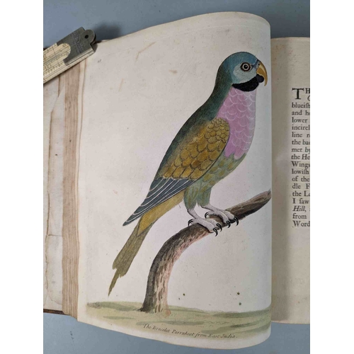 266 - ALBIN, Eleazar. A Natural History of Birds, to which are added, Notes and Observations by W. Derham,... 