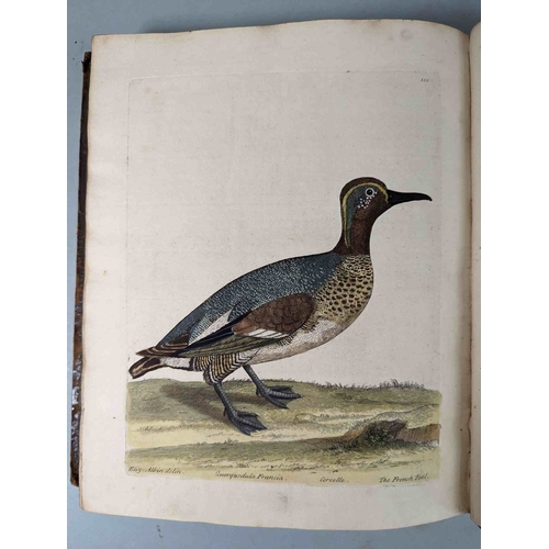 266 - ALBIN, Eleazar. A Natural History of Birds, to which are added, Notes and Observations by W. Derham,... 