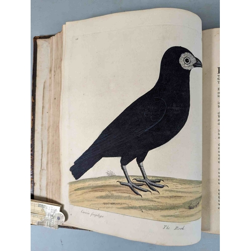 266 - ALBIN, Eleazar. A Natural History of Birds, to which are added, Notes and Observations by W. Derham,... 