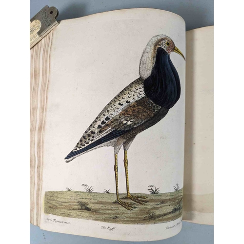 266 - ALBIN, Eleazar. A Natural History of Birds, to which are added, Notes and Observations by W. Derham,... 