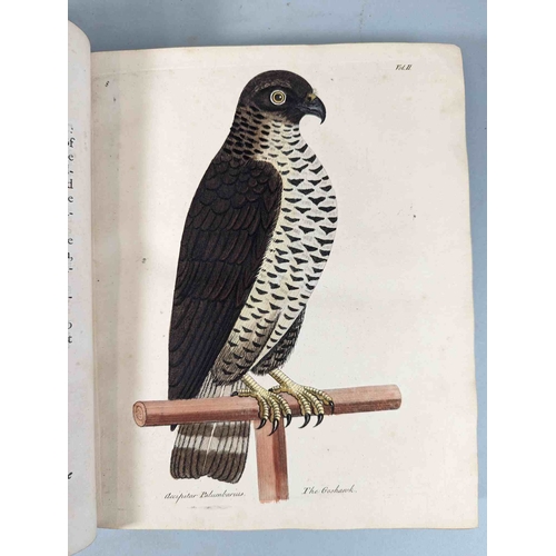 266 - ALBIN, Eleazar. A Natural History of Birds, to which are added, Notes and Observations by W. Derham,... 