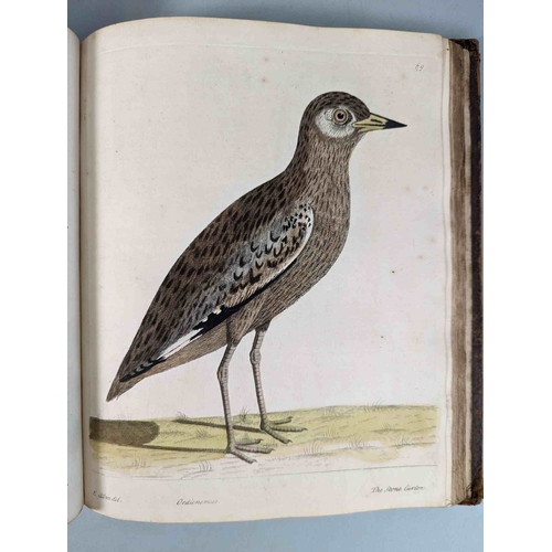 266 - ALBIN, Eleazar. A Natural History of Birds, to which are added, Notes and Observations by W. Derham,... 