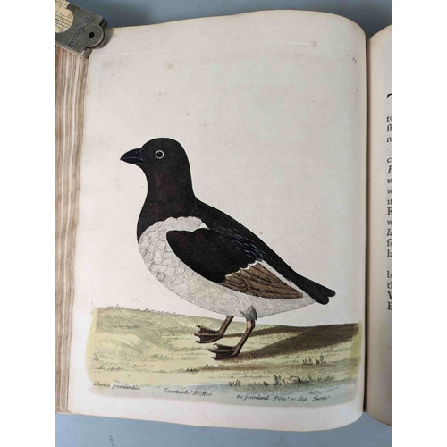 266 - ALBIN, Eleazar. A Natural History of Birds, to which are added, Notes and Observations by W. Derham,... 