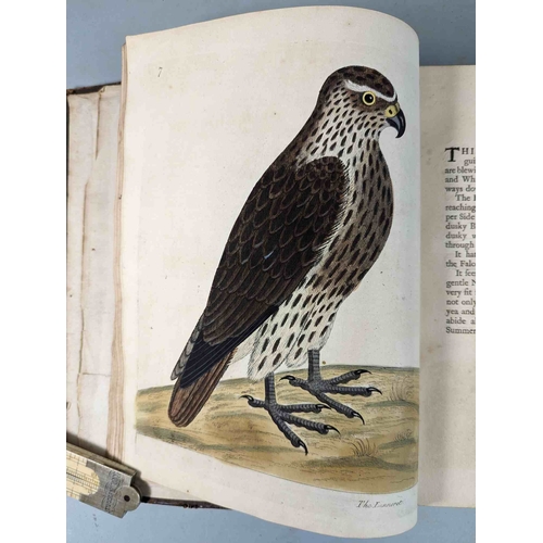 266 - ALBIN, Eleazar. A Natural History of Birds, to which are added, Notes and Observations by W. Derham,... 