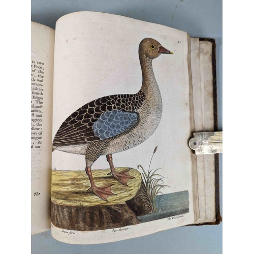 266 - ALBIN, Eleazar. A Natural History of Birds, to which are added, Notes and Observations by W. Derham,... 