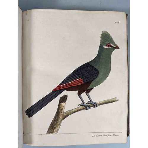 266 - ALBIN, Eleazar. A Natural History of Birds, to which are added, Notes and Observations by W. Derham,... 