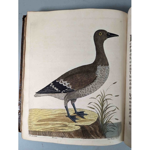 266 - ALBIN, Eleazar. A Natural History of Birds, to which are added, Notes and Observations by W. Derham,... 