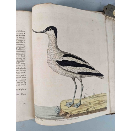 266 - ALBIN, Eleazar. A Natural History of Birds, to which are added, Notes and Observations by W. Derham,... 