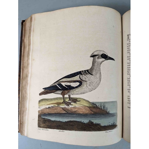 266 - ALBIN, Eleazar. A Natural History of Birds, to which are added, Notes and Observations by W. Derham,... 