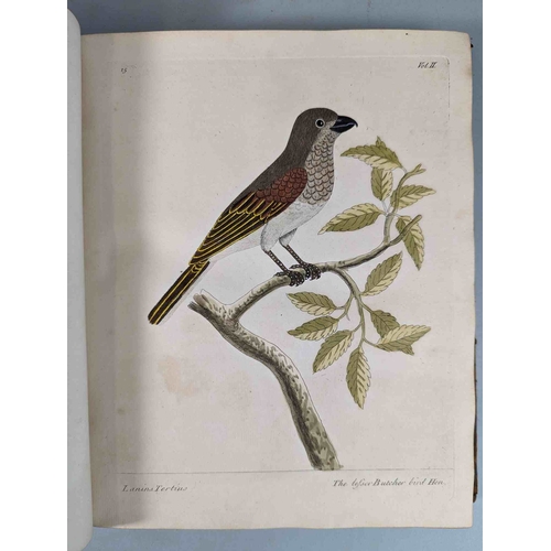 266 - ALBIN, Eleazar. A Natural History of Birds, to which are added, Notes and Observations by W. Derham,... 