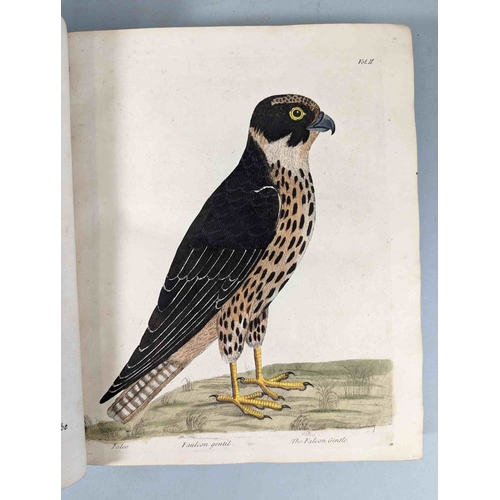 266 - ALBIN, Eleazar. A Natural History of Birds, to which are added, Notes and Observations by W. Derham,... 