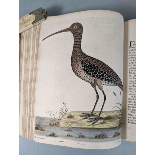 266 - ALBIN, Eleazar. A Natural History of Birds, to which are added, Notes and Observations by W. Derham,... 