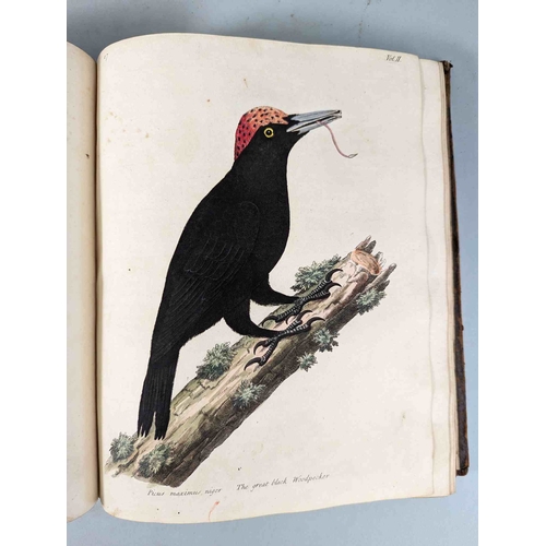 266 - ALBIN, Eleazar. A Natural History of Birds, to which are added, Notes and Observations by W. Derham,... 