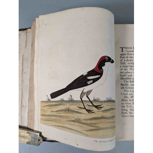 266 - ALBIN, Eleazar. A Natural History of Birds, to which are added, Notes and Observations by W. Derham,... 