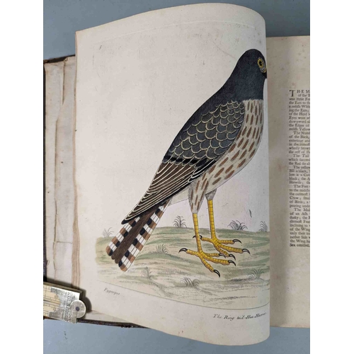 266 - ALBIN, Eleazar. A Natural History of Birds, to which are added, Notes and Observations by W. Derham,... 