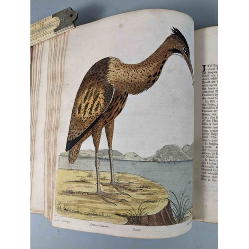 266 - ALBIN, Eleazar. A Natural History of Birds, to which are added, Notes and Observations by W. Derham,... 