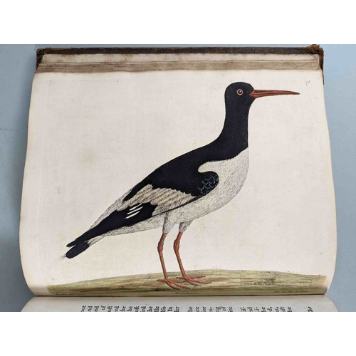 266 - ALBIN, Eleazar. A Natural History of Birds, to which are added, Notes and Observations by W. Derham,... 