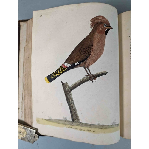 266 - ALBIN, Eleazar. A Natural History of Birds, to which are added, Notes and Observations by W. Derham,... 