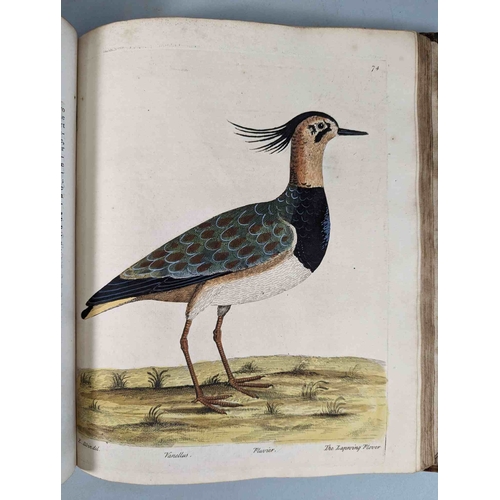 266 - ALBIN, Eleazar. A Natural History of Birds, to which are added, Notes and Observations by W. Derham,... 