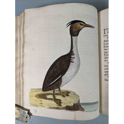 266 - ALBIN, Eleazar. A Natural History of Birds, to which are added, Notes and Observations by W. Derham,... 