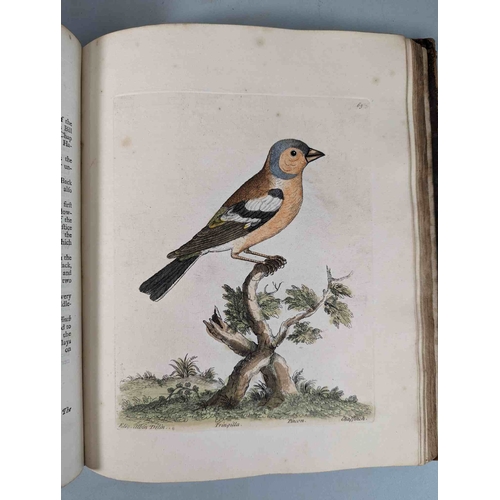 266 - ALBIN, Eleazar. A Natural History of Birds, to which are added, Notes and Observations by W. Derham,... 